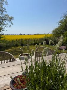 a wooden table with plants and flowers in a garden at Hedmansgården in Västra Torp +18 photos