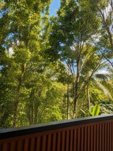a view of trees from a wooden fence at Bali Queen Cottage in Pabean Buleleng