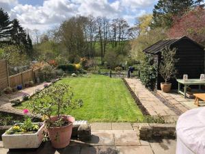 a garden with a lawn with plants in it at Berkley Cottage in Colchester