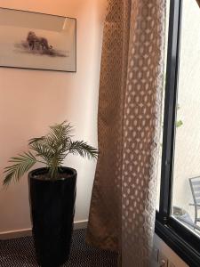 a plant sitting in a room next to a window at وحده خاصة بمدخل مباشر s1 in Al Kharj
