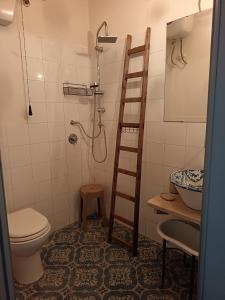 a bathroom with a shower and a toilet and a ladder at Agri Experience - Case Gentile in Castelvetrano Selinunte