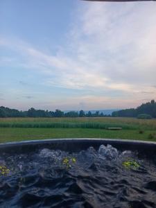 a bath tub filled with water in a field at Zielone Wzgórze komfortowy klimatyzowany domek z balią z aeromasażem in Kłodzko