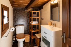 a bathroom with a toilet and a sink at Apartamento La Contessina, junto a la Catedral in Toledo +16 photos