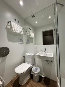 a bathroom with a toilet and a sink at IRUÑA ROOMs in Pamplona +15 photos