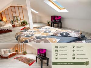 a bedroom with a bed and a tv in a room at Alex88 in Buşteni