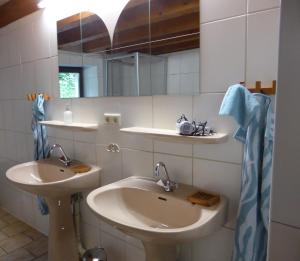 ein Badezimmer mit Waschbecken und Spiegel in der Unterkunft vakantiehuis Hunsrück in Leisel