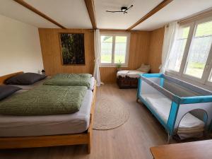 a bedroom with two beds in a room with windows at Gackernästli Emmental in Bärau