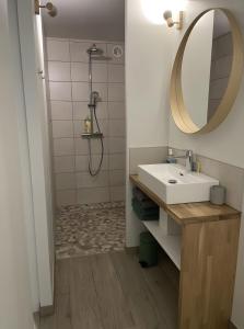 a bathroom with a sink and a mirror and a shower at Le Moulin de St André in Saint-André-en-Morvan