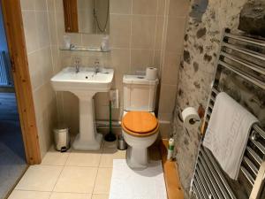 a small bathroom with a toilet and a sink at Tithe Barn 2 - Abercelyn Cottages - Llanycil - Bala - Gwynedd - LL23 7YF - UK in Llanycil +4 photos