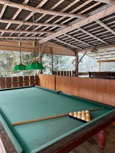 a green pool table with balls on top of it at Бойківський двір in Yasenitsa Zamkova