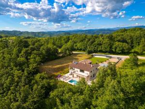 an aerial view of a house in the woods at Villa Mochi by IstriaLux in Pićan