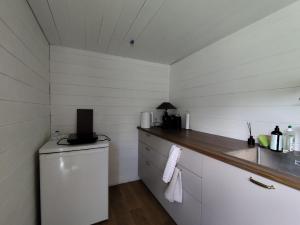 a kitchen with a sink and a counter top at Owls' house B&B in Skriaudžiai