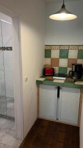 a kitchen with a counter top and a glass door at Alte Büdnerei - DZ "Bambus" in Brunshaupten