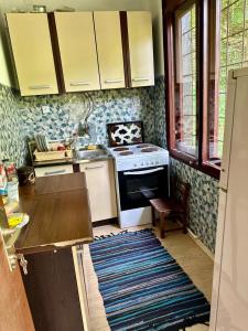a kitchen with a stove and a sink in it at Weekend House in Vrelo in Jelovica
