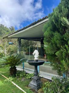 a statue sitting on top of a fountain in a garden at Pousada e Museu JK in Ubajara