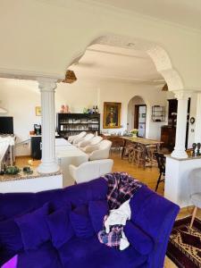 a living room with a purple couch and white chairs at Hostel Calao in Shkodër