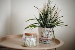 a plant in a pot on a table with a candle at H apartmán Jankov in Jankov