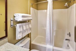 a bathroom with a shower and a toilet and a sink at Candlewood Suites Killeen - Fort Hood Area by IHG in Killeen +30 photos