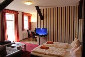 Μια τηλεόραση ή/και κέντρο ψυχαγωγίας στο Apart Hotel Wernigerode