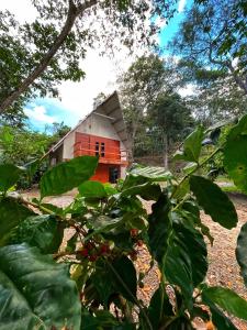 an orange and white building in the middle of a forest at Quinta Las Hortensias in Monte San Juan
