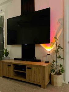 a flat screen tv on top of a wooden entertainment center at Maitland Getaway - Spa, EV Friendly, Pet Friendly in Telarah