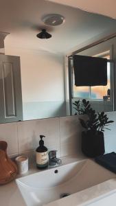 a bathroom sink with a mirror and a plant on it at Maitland Getaway - Spa, EV Friendly, Pet Friendly in Telarah +10 photos