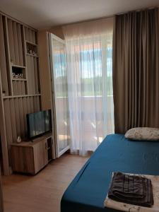 a bedroom with a bed and a tv and a window at Sea&Sunset Studio in Sozopol