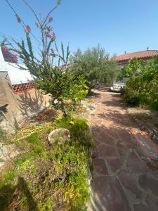a garden with trees and plants on a sidewalk at Miramar Viladecans in Viladecáns