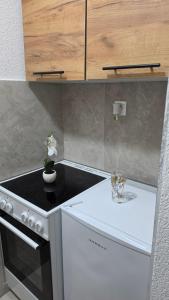 a kitchen with a stove and a counter top at Apartmani Rama - terra nostra in Prozor