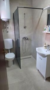 a bathroom with a shower and a toilet and a sink at Apartmani Rama - terra nostra in Prozor +7 photos