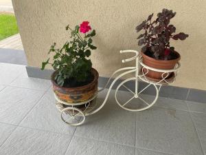 O grădină în afara GIADDA Rooms
