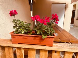 an orange pot with red flowers on a wooden table at GIADDA Rooms in Borşa
