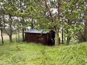 a small cabin in the middle of a field with trees at Egilsstadir 1, Skógarkot, Urridafossvegur, Selfoss in Selfoss