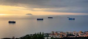a group of boats in a large body of water at I mille Tramonti di Ilaria in Livorno +20 photos