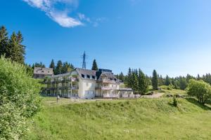 a large house on a hill in a field at Cocon d'Altitude avec Terrasse, Calme & Parking Privé in Orbey