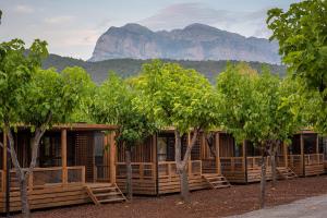 a row of wooden cabins with trees and mountains in the background at Bungalows Peña Montañesa in Aínsa