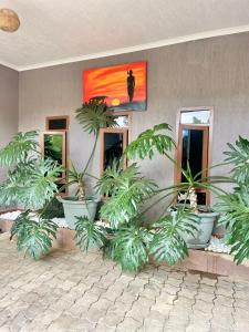 Jardí fora de Arusha Business Hotel 1 foto més