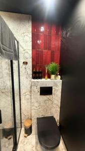 a bathroom with a black toilet and red tile at Apartament Centrum Ligota in Katowice +35 photos