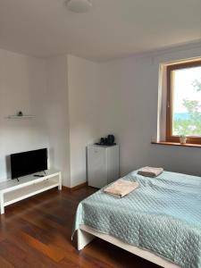 a white bedroom with a bed and a television at Dzikie Fiołki in Karpacz