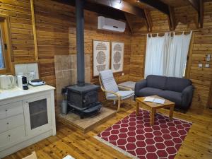 a living room with a couch and a stove at Ronit and Mario in Abirim