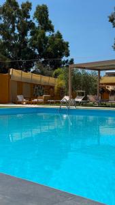 a large blue swimming pool with chairs and trees at Residence Toscano in Palmi
