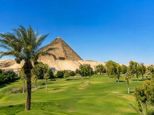 a palm tree in front of the pyramids at Glow Pyramids View Hotel in Cairo