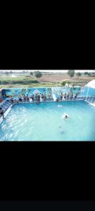 a group of people standing in a pool of water at The Pool place and Restaurant in Bagar Meo