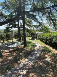 a tree with a hammock in a yard at BeB La Nociaia in Tavullia