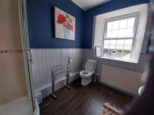 a bathroom with a toilet and a window at Fortedward Farm House in Thurles