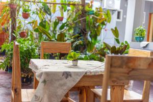 a table and chairs with a potted plant on it at Wenyeji Inn Hotel Moshi in Moshi +22 photos