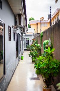 an alley with potted plants and a fence at Wenyeji Inn Hotel Moshi in Moshi