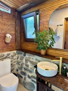 a bathroom with a stone counter with a toilet and a sink at The Heaven Sibiu in Sebeşu de Sus