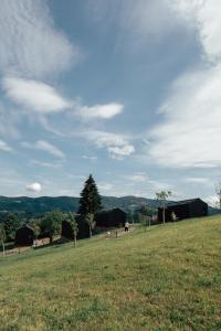 a green field with a tree on top of it at Hapfn Tiny Houses mit Hot Tub in Eibiswald