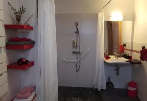a bathroom with a shower and a sink at Chalet La Bachole - Chambre d'hôtes in Charancieu +27 photos
